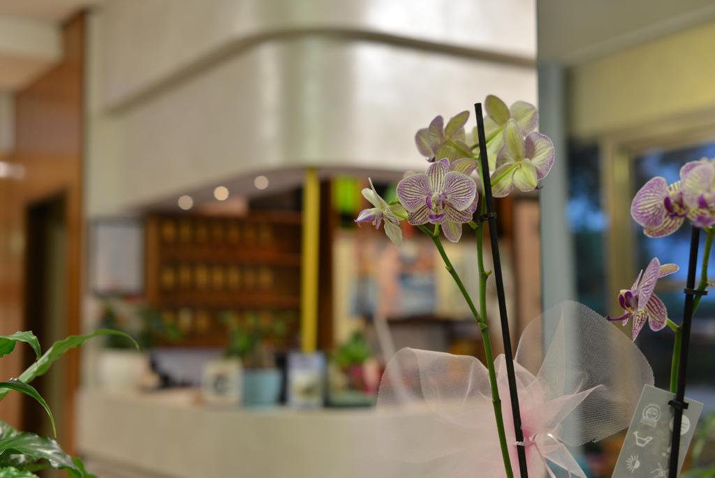 Hotel Marselli Ρίμινι Εξωτερικό φωτογραφία